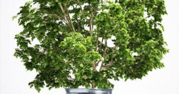 Commission welcomes strong EU commitment to boost climate assistance for developing countries