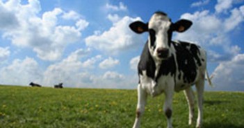 All 118 Rural Development Programmes adopted: €99.6 billion for EU rural areas