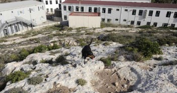 Commission awards €1.14 million in emergency assistance for voluntary return of irregular migrants from Italy