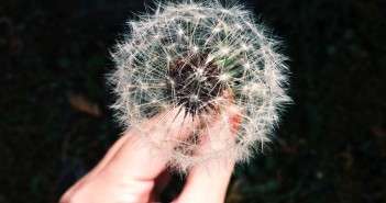 European projects – from ideas to implementation