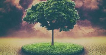 Climate change: EU and member states’ contributions up to €17.6 billion in 2015